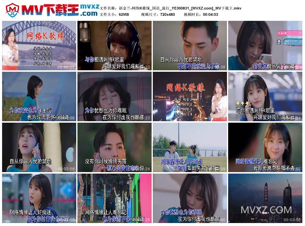 赵金兰-网络K歌缘_国语_流行_YE300831